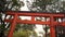 Beautiful red tori gate at Maruyama of Kyoto. Park with japanese torii gateways