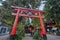 Beautiful red Torii gate in front of Xitou monster village