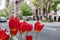 Beautiful Red Tulips during Spring on a Residential Street on the Upper East Side of New York City