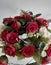 Beautiful red and white roses flowers