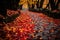 beautiful red and yellow leaves on the path Autumn park path Red leaves, romantic mood