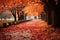 beautiful red and yellow leaves on the path Autumn park path Red leaves, romantic mood