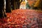 beautiful red and yellow leaves on the path Autumn park path Red leaves, romantic mood