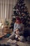 Beautiful redhead girl playing with a cat near a Christmas tree