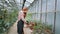 Beautiful redhead lady gardener in a big flower greenhouse planted a flower pot she working very concentrated and