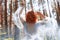 Beautiful redhead woman forest nymph in a blue transparent light dress in the woods spinning in dance. Red hair girls. Art fashion