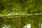 A beautiful reflected landscape of a forest near the river.