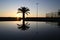 Beautiful reflection palm tree at Caddebostan