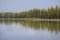 A beautiful reflection of pine trees at Lewis Lake in Yellowstone National Park.