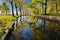 Beautiful reflection of trees in a puddle in a city park in the early morning I