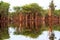 Beautiful reflection of trees in the river - Rio Negro, Amazon, Brazil, South America