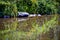 Beautiful reflection of wild flowers on the banks of Casselman River in Garrett County Maryland