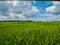 Beautiful refreshing blue sky cloud cloudy landscape background