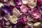 beautiful and refreshing wallpaper featuring a mix of purple and lavender rose petals, creating a soothing and relaxing atmosphere