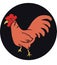 Beautiful retro coloured cartoon illustration of brown vintage chicken in black circle as background.cdr