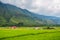 Beautiful Rice field view of Lake Toba, Samosir Island, North Sumatra, Indonesia