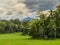 Beautiful rice fields in West Sumatra