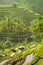 Beautiful rice terraces in the moring light, Bali, Indonesia