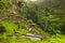 Beautiful rice terraces in the moring light, Bali, Indonesia