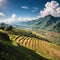 Beautiful Rice Terraces, South East Asia made with Generative AI