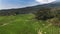 Beautiful ricefield in Mount Ciremai