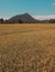 Beautiful ricefields at landak