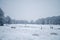 Beautiful Richmond Park covered in snow on cold Sunday winter Morning