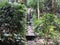 Beautiful Rio de Janeiro Botanical Garden Waterfall