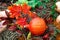 Beautiful ripe pumpkins lie on the straw. Farmers autumn harvest. Gorgeous autumn background with pumpkins