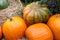 Beautiful ripe pumpkins lie on the straw. Farmers autumn harvest. Gorgeous autumn background with pumpkins