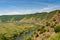 Beautiful, ripening vineyards in the spring season in western Germany, the Moselle river flowing between the hills. In the backgro