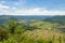 Beautiful, ripening vineyards in the spring season in western Germany, visible forest growing on the hills and blue sky with cloud