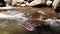 Beautiful River clear water flowing through stones and rocks