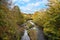 Beautiful river through a deciduos forest in autumn