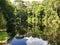 A beautiful river with a deep pool at Homasassa Springs State Park