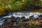 Beautiful river at Glen Alton Recreation Area in autumn