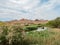 Beautiful river landscape of the Las Vegas Wash trail