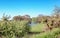 The beautiful river landscape of the river Linge in the fruit region De Betuwe