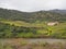 A beautiful river in the middle of the vineyards