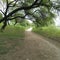 Beautiful river side passway