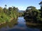 Beautiful river with trees at its edge with blue background