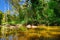 Beautiful river in Waimea Valley on Oahu island