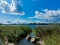 Beautiful riverside landscape with reed belt