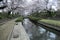 Beautiful riverside walkways under romantic archways of pink cherry blossom trees  Sakura Namiki  by a small river bank