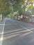 beautiful road accompanied by shady trees