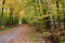 A beautiful road in autumn