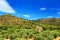 Beautiful road in countryside near Cadaques in summer