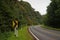 Beautiful road and danger curve road sign