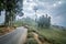 A beautiful road through darjeeling tea plantation