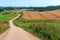 Beautiful road in a field, a wide dirt road in a field